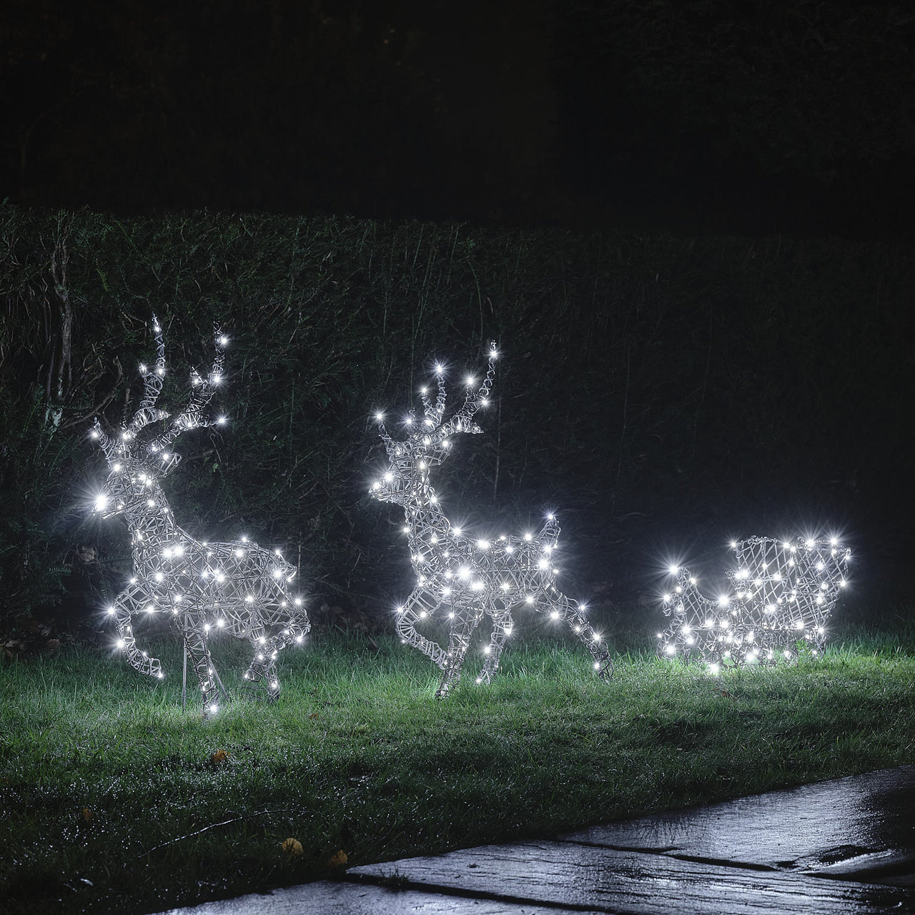 64cm Dual LED Harlow Light Up Reindeer & Sleigh