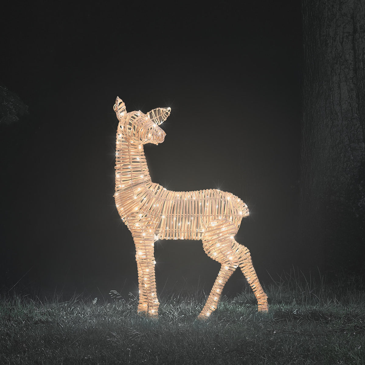 Leyburn Dual LED Rattan Set of 4 Light Up Reindeer Family
