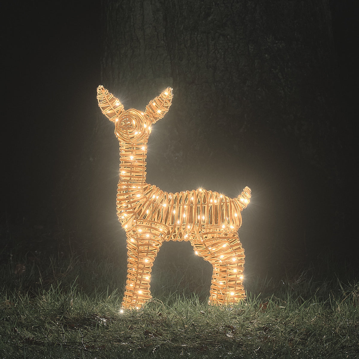 62cm Dual LED Leyburn Rattan Fawn Light Up Reindeer