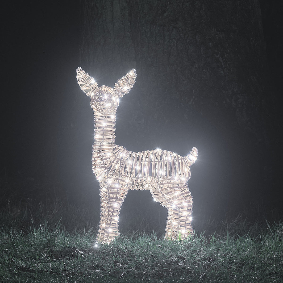 62cm Dual LED Leyburn Rattan Fawn Light Up Reindeer