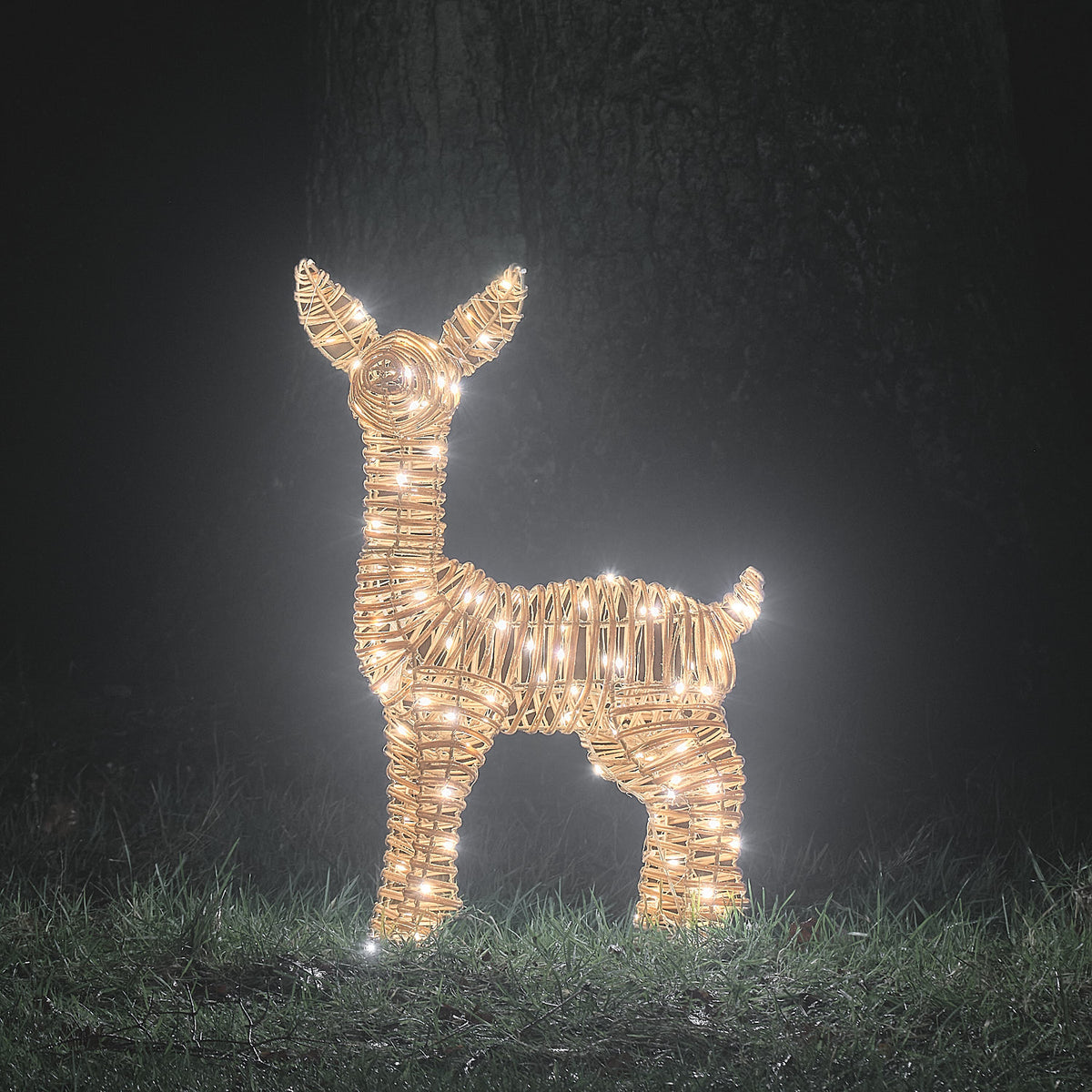 62cm Dual LED Leyburn Rattan Fawn Light Up Reindeer