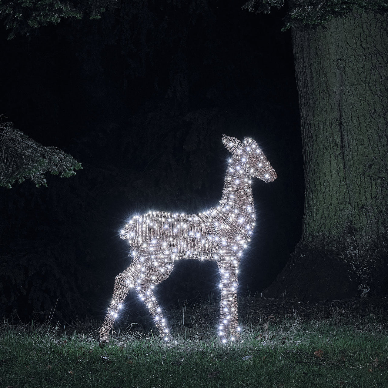 Set of 5 Pateley Dual LED Light Up Reindeer Family