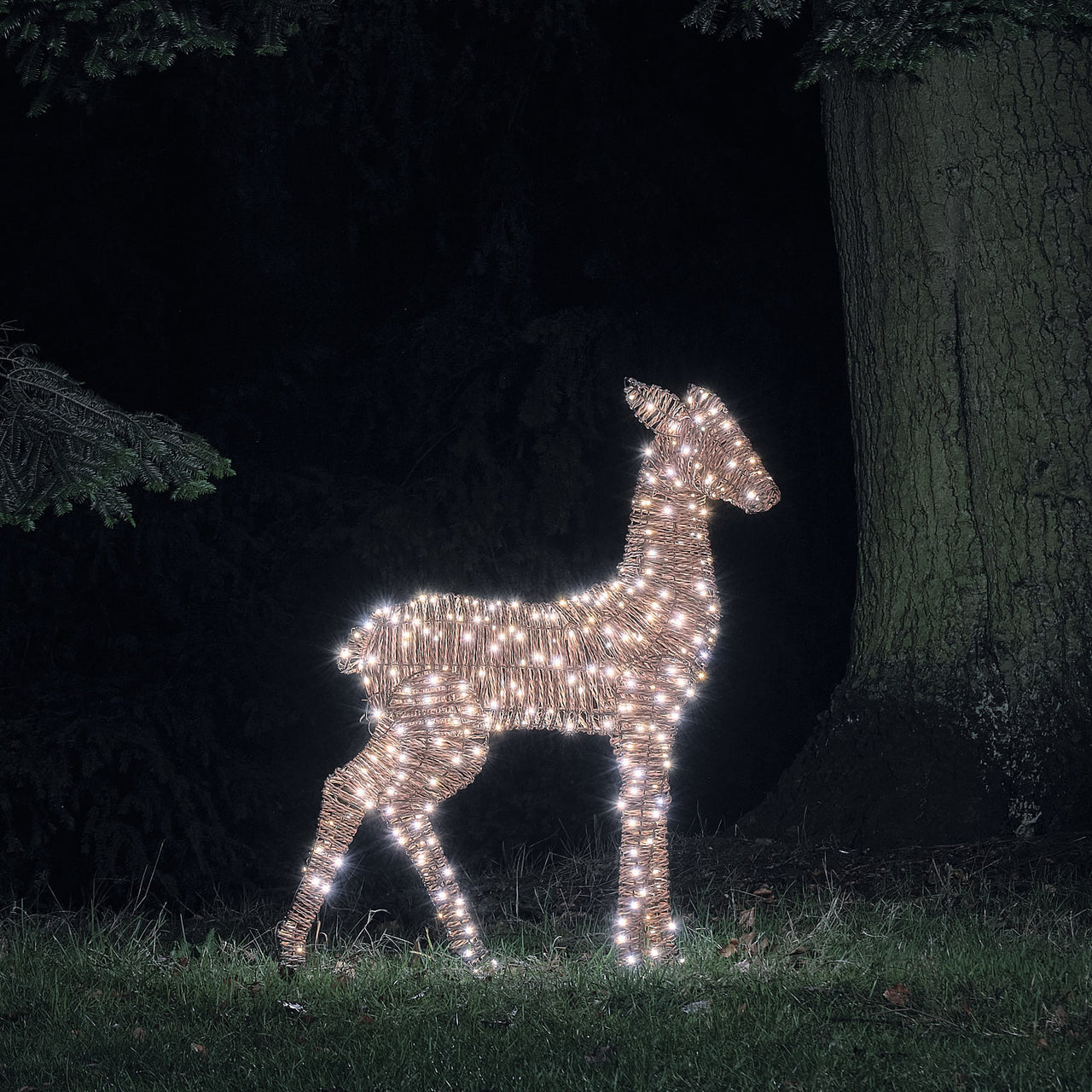 1.1m XL Dual LED Pateley Rattan Doe Light Up Reindeer