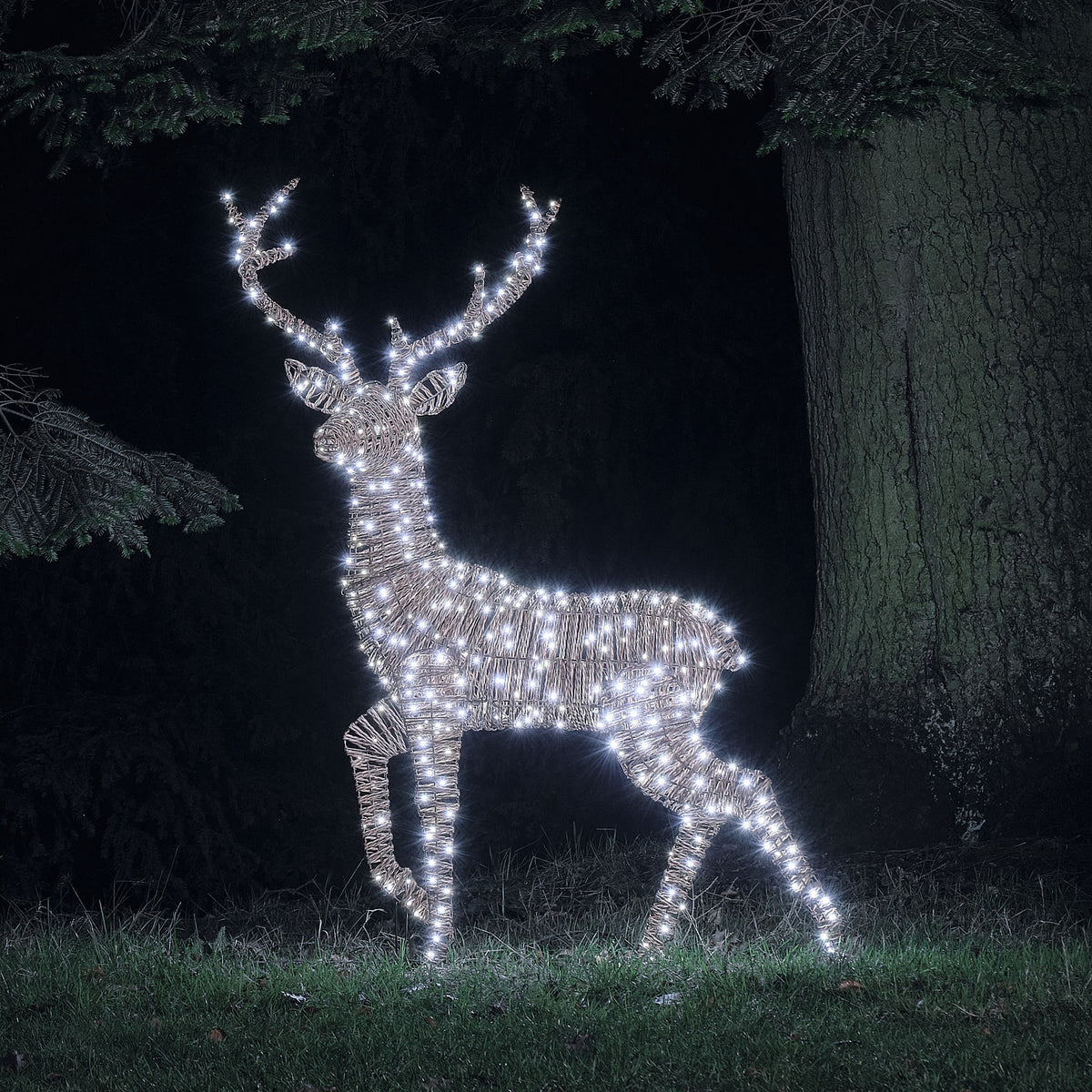 1.5m XL Dual LED Pateley Rattan Stag Light Up Reindeer