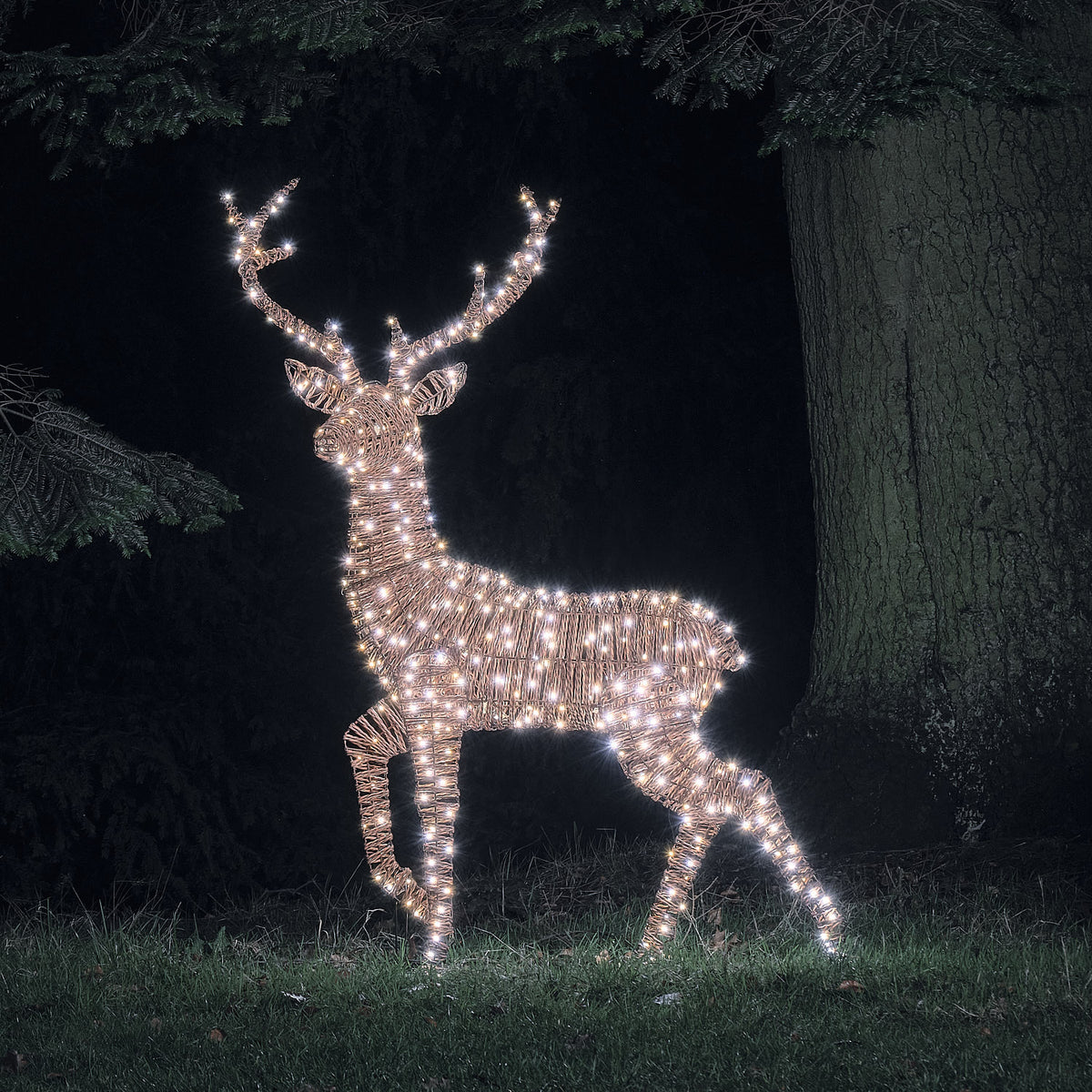 1.5m XL Dual LED Pateley Rattan Stag Light Up Reindeer