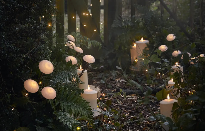 The Secret Garden