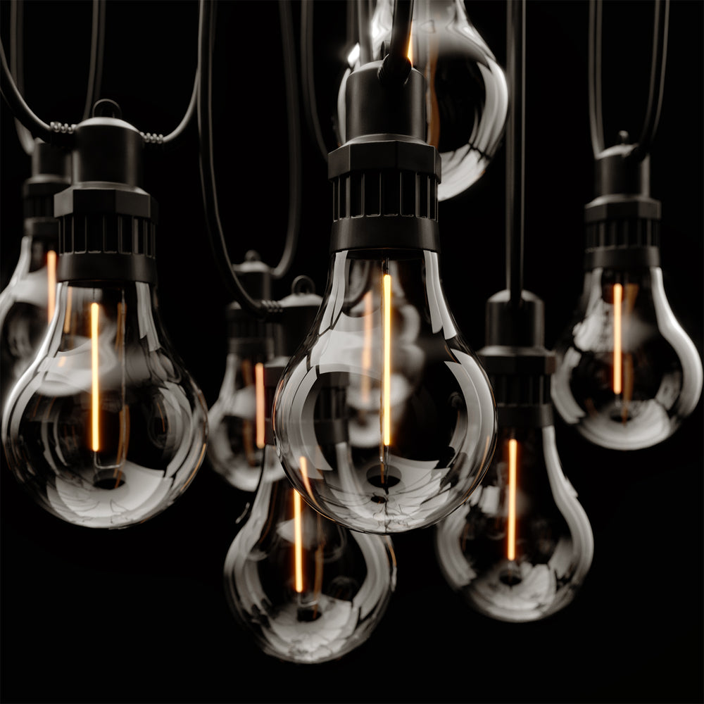 10 Edinburgh Solar Festoon Lights with USB Rechargeable Solar Panel