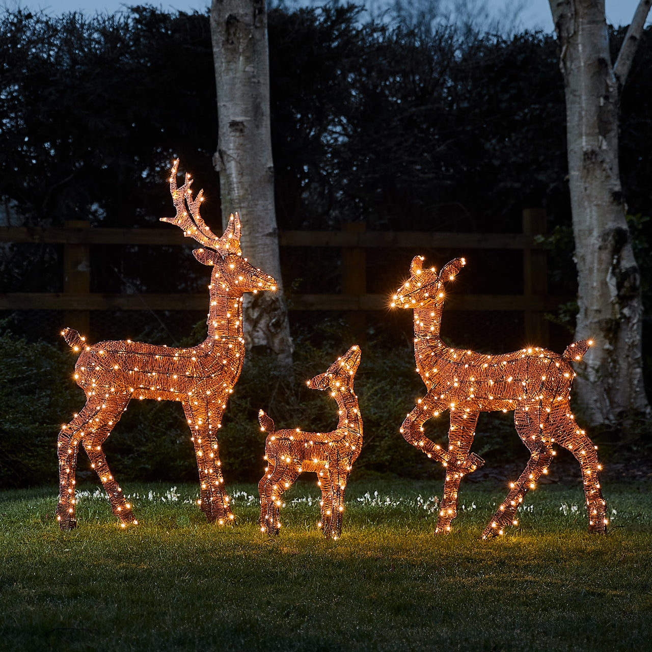 Harewood Spun Cotton Stag Light Up Reindeer 31 volts