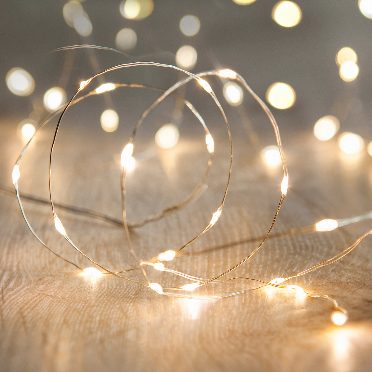 Silver Wire Indoor Micro Light Garland - styled product view