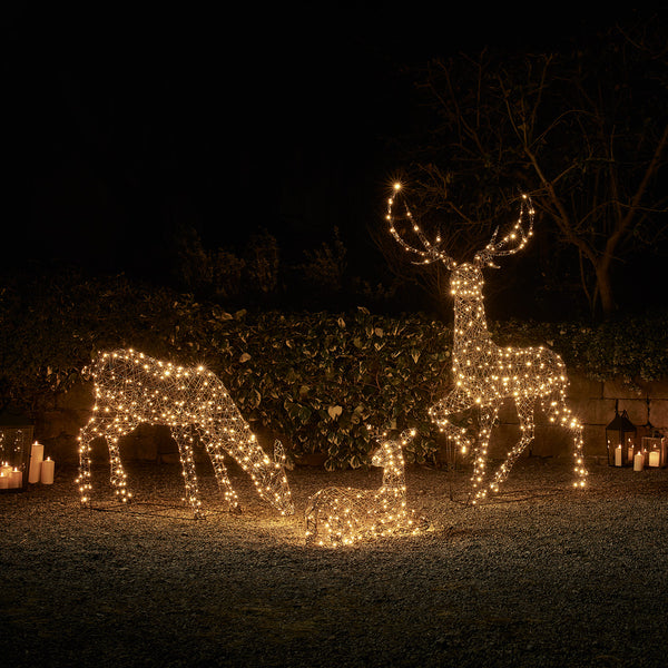 Studley Rattan Resting Doe Light Up Reindeer 24v