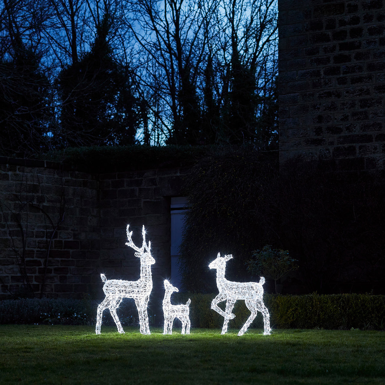 Swinsty Acrylic Light Up Reindeer Family 24v
