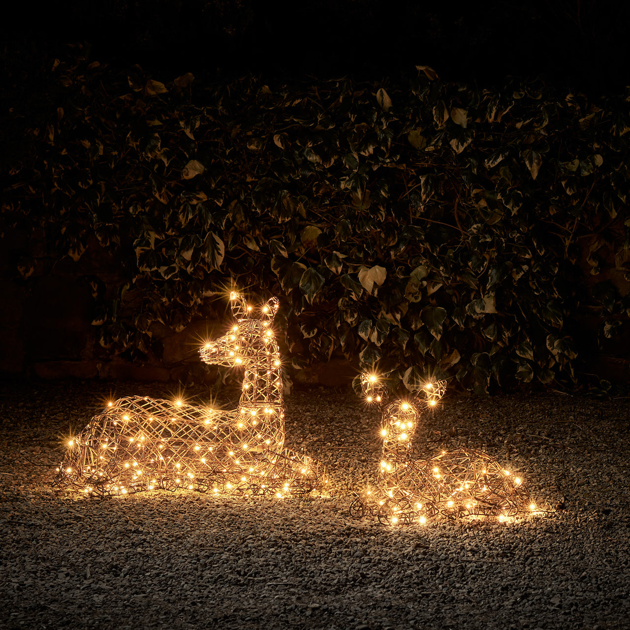Studley Rattan Resting Doe & Fawn Light Up Reindeer 24v