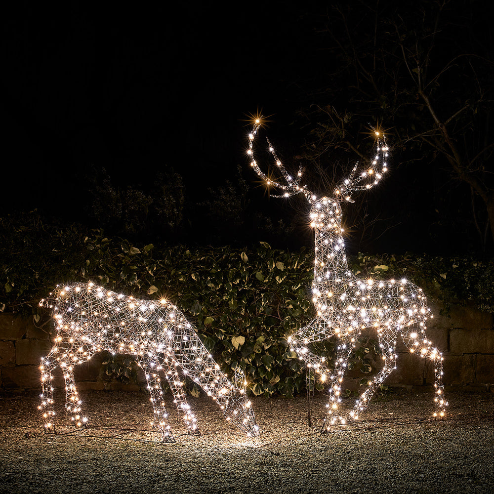 Large Studley Rattan Stag & Doe Dual Colour LED Light Up Reindeer 24v