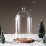 Regular Glass Dome Bell Jar 20cm