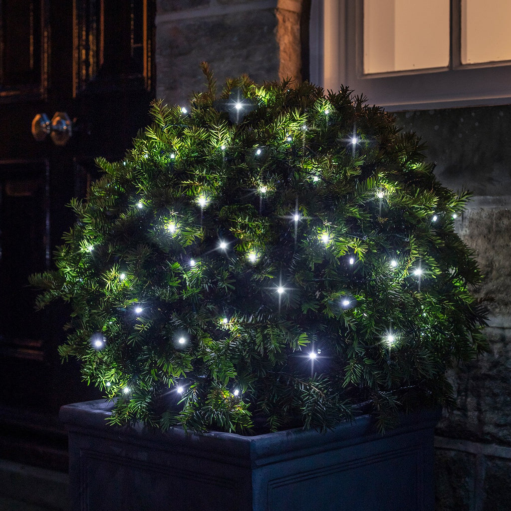 100 White LED Outdoor Battery Fairy Lights On Clear Cable | Lights4fun ...