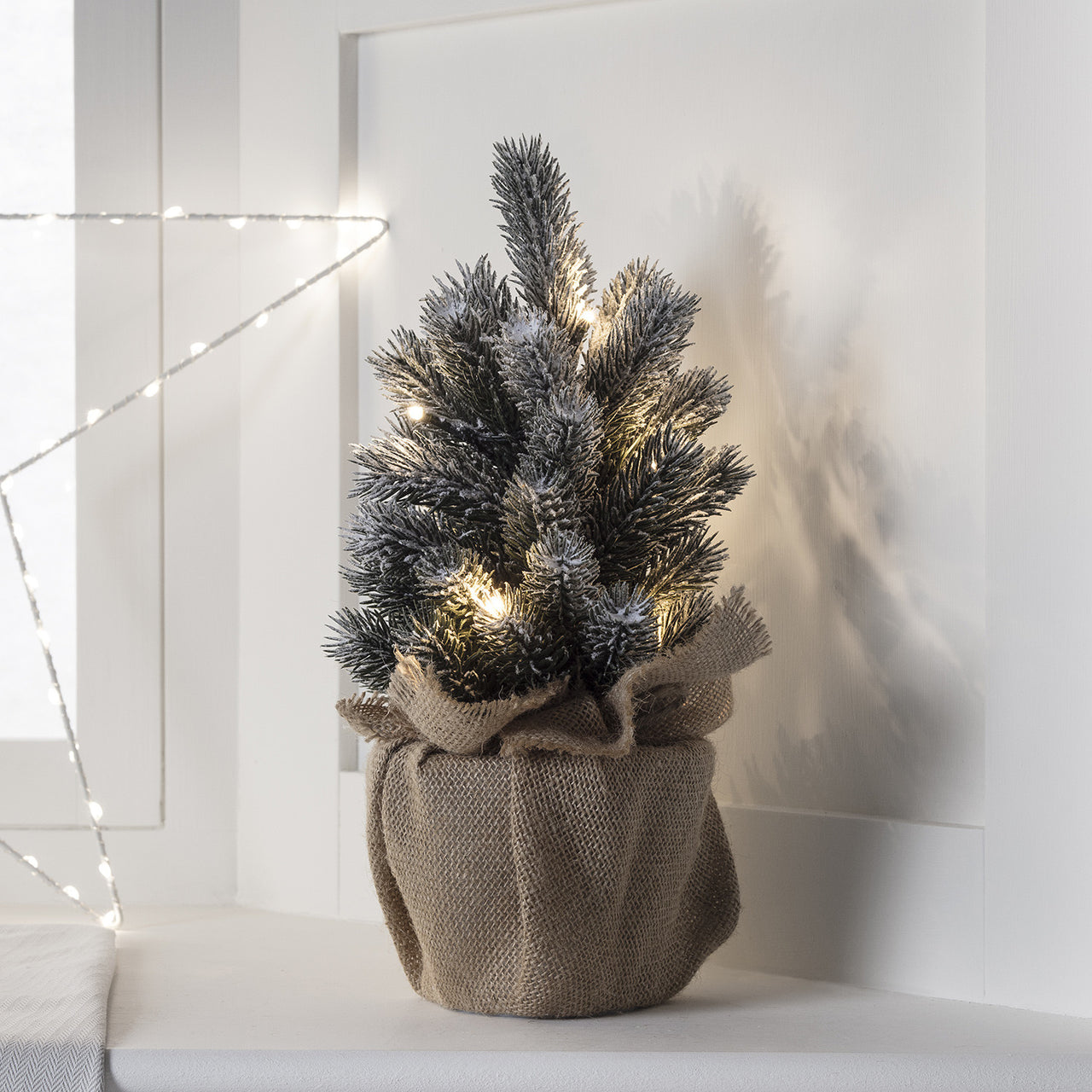 30Cm Pre Lit Frosted Mini Christmas Tree
