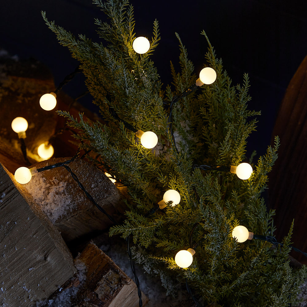 50 Warm White Berry Outdoor Fairy Lights