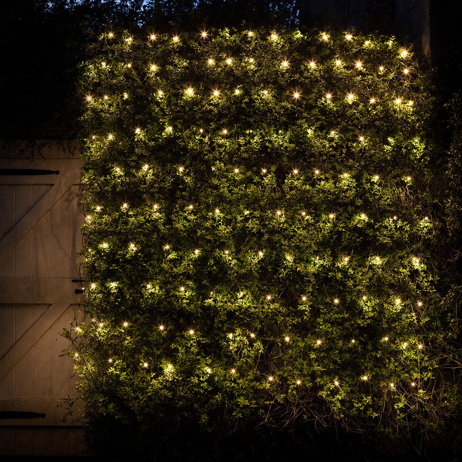 140 Warm White LED Outdoor Net Light 2 x 2m UK