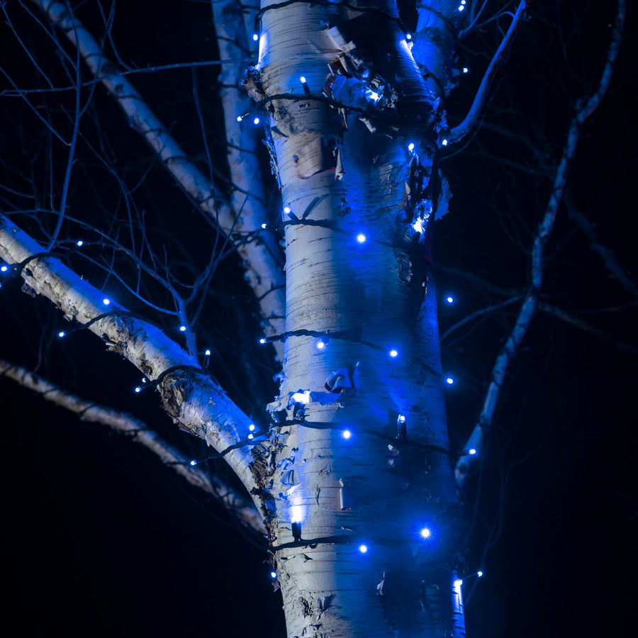 Mains Powered Garden Lights | Mains String & Festoon Lights UK ...