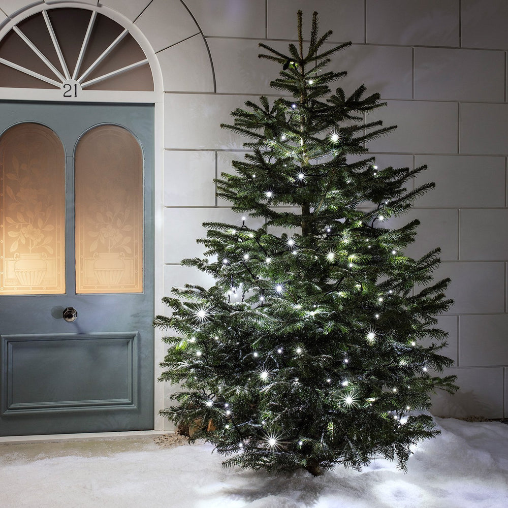 160m 1600 White LED Connectable String Lights Black Cable Pro Series