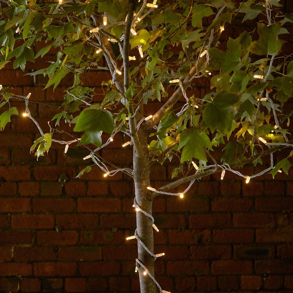 Pro Connect 195m 1950 Traditional Warm White Connectable String Lights White Cable
