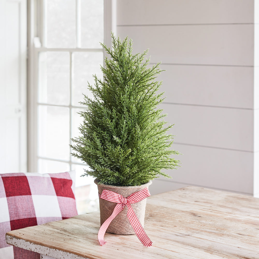 55cm Fir Mini Christmas Tree