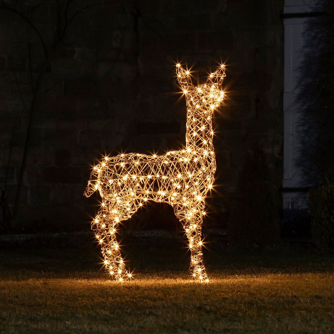 Studley Doe & Fawn Rattan Light Up Reindeer Christmas Figures 24v