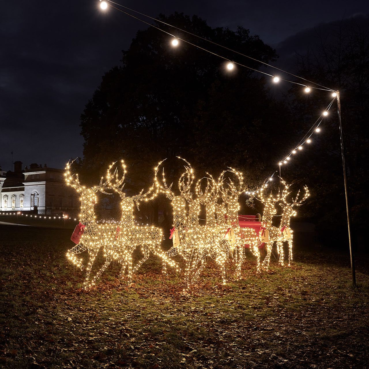 2m Studley Rattan Stag Light Up Reindeer 24v