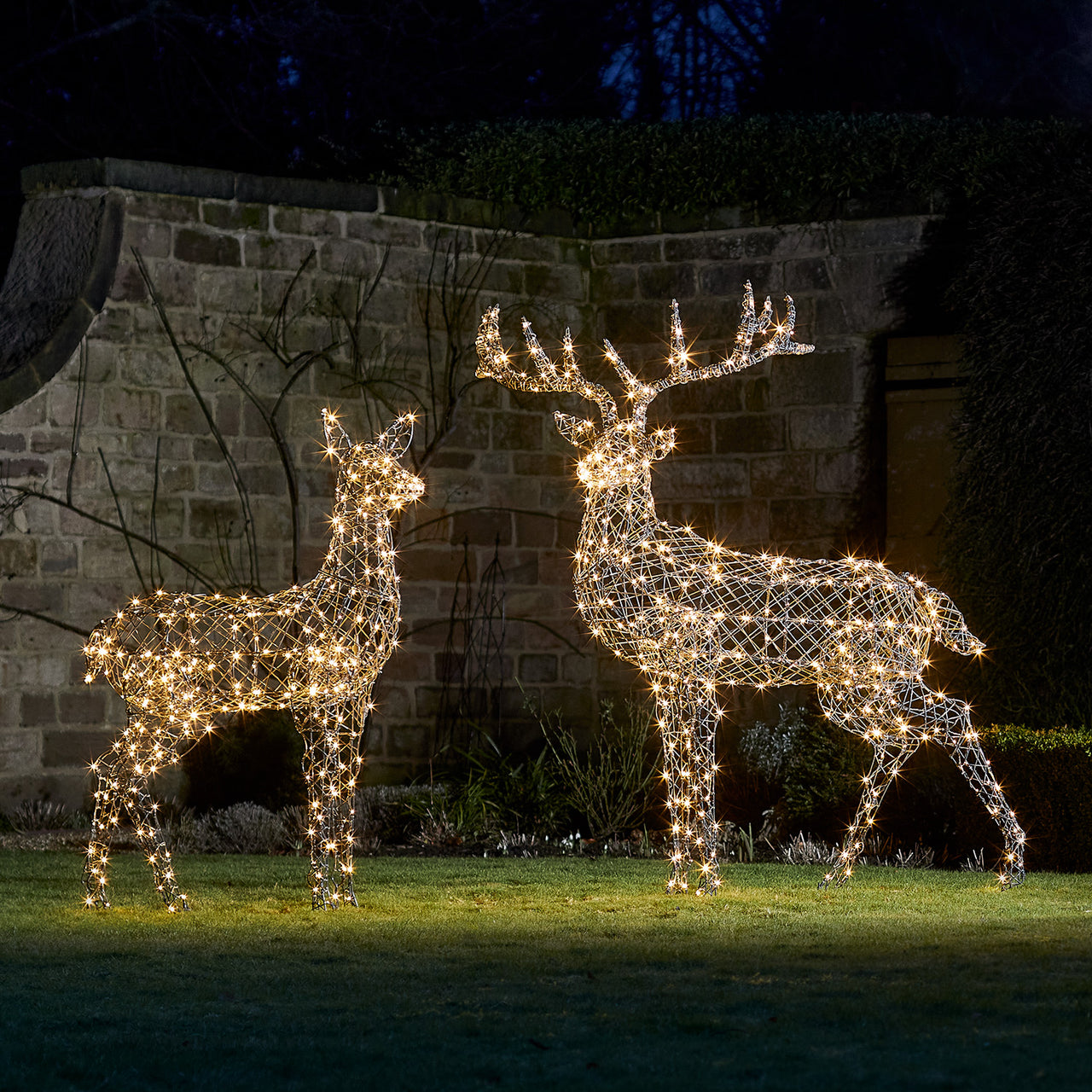Large Harlow Rattan Stag & Doe Dual Colour LED Light Up Reindeer Duo