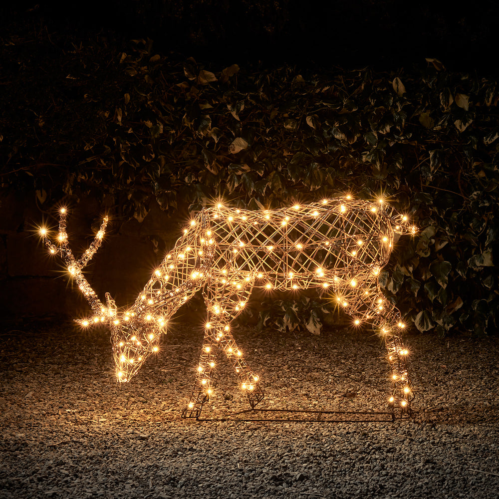 Studley Rattan Grazing Stag Light Up Reindeer 24v